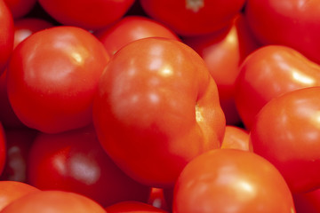 Heap of fresh ripe red tomatoes without branches.