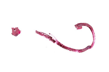 Question mark symbol made of red nail varnish isolated on white background.