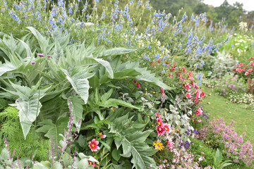 Jardin anglais en été