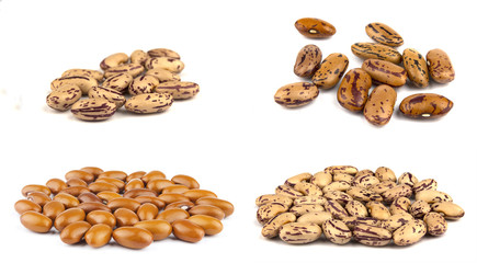 Haricot beans isolated on white background