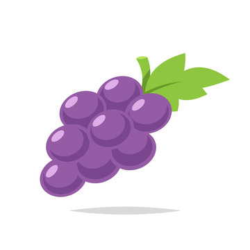 Grapes vector isolated