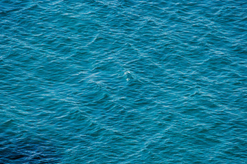 Andalusian sunny coast 