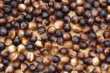 Fresh nutmeg drying under the sun