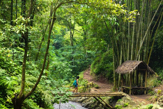 Tourist woman trekking in Bali jungle