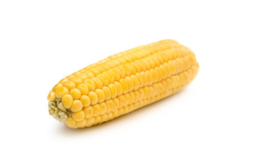 Ear of corn on white background.