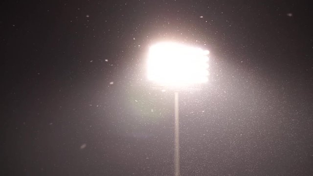 Moths swarm flying through light from stadium spotlight in the dark night.