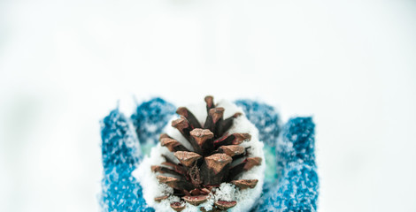 Christmas decoration in baby's hands in gloves.
