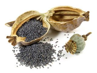 Mohn - Kapseln © ExQuisine