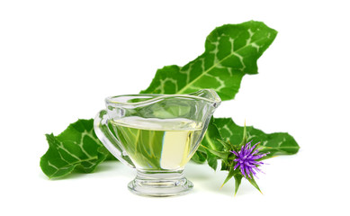 Milk Thistle Oil. Isolated on White Background.