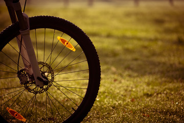 Bicycle wheel  in the autumn forest.