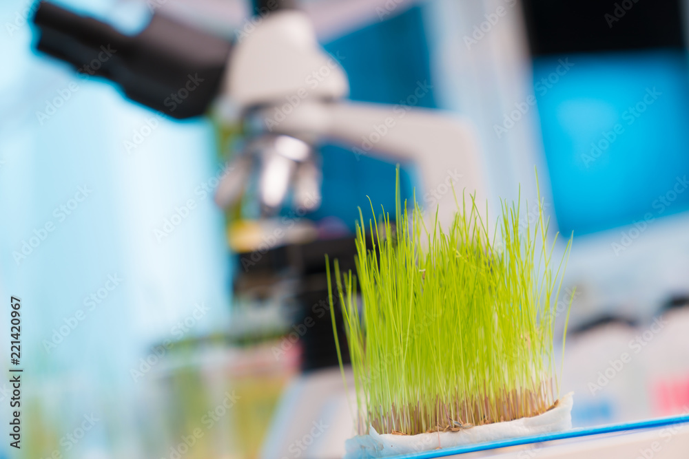 Poster Green plants and scientific equipment in biology laboratary