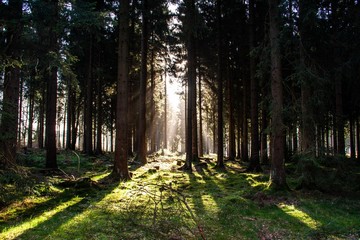 Wandern am Rothaarsteig