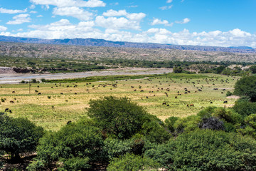 Famous Route 40 in Salta, Argentina.