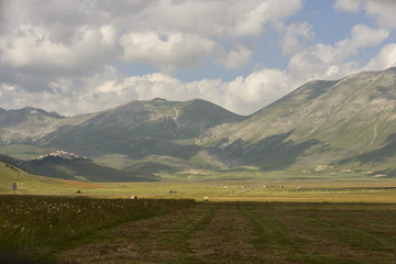 Fototapeta premium Piana di Castelluccio di Norcia