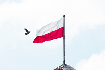 Flaga Polska - obrazy, fototapety, plakaty