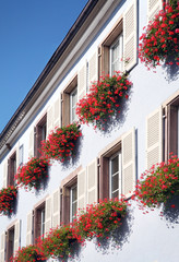 Picturesque houses in Eguisheim Alsace, France