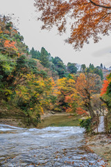 上流から見た秋の養老渓谷の粟又の滝の風景