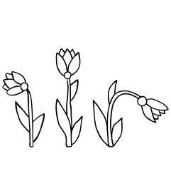 flower, for kids, book coloring pages