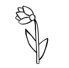 isolated flower, for kids, book coloring pages
