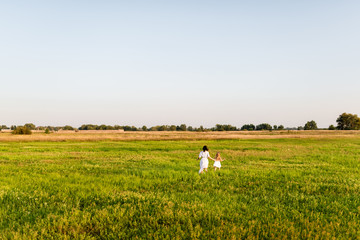 Fototapeta premium aerial view of mother and daughter running in green field