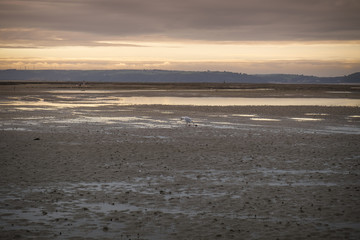 Fototapeta na wymiar Sunset over Carmarthen Bay estuary at low tide