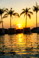 Fototapeta na wymiar Beautiful tropical sunset at a swimming pool side with palm trees silhouettes at dusk. Vertical composition
