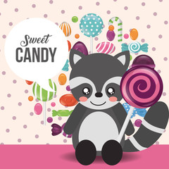 sweet candy concept