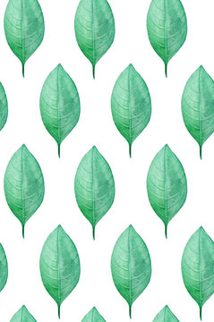 Watercolor Leaves Pattern. Green Botanical Background