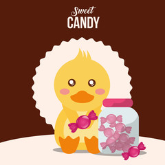 sweet candy concept