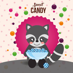 sweet candy concept