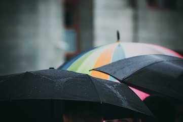 People under the rain with black and multicoloured umbrellas in the autumn rain at wet weather