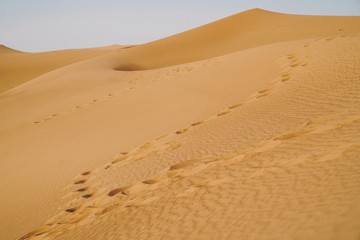 Fototapeta na wymiar Landscape of sand dunes desert and footprints