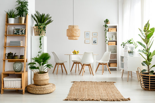 Plants and rug in natural dining room interior with white chairs and table under lamp. Real photo