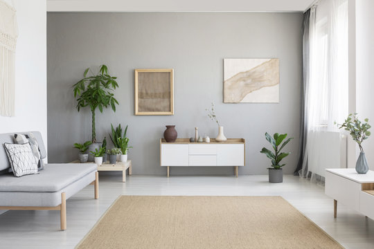 Real photo of bright Nordic style living room interior with fresh plants, white cupboard, window with drapes, grey sofa and big carpet on the floor
