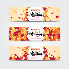 Autumn sale banner with leaves. For shopping promo web banner.
