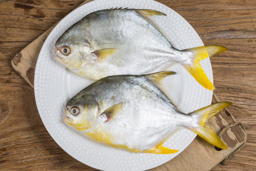 Golden pomrfet fish