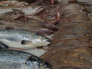 close up on fresh raw fishes for sale on market. 