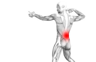 Conceptual back human anatomy with red hot spot inflammation articular joint pain or spine health care therapy or sport muscle concepts. 3D illustration man arthritis or bone sore osteoporosis disease