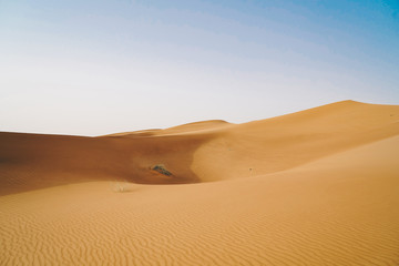 Fototapeta na wymiar Landscape of sand dunes desert