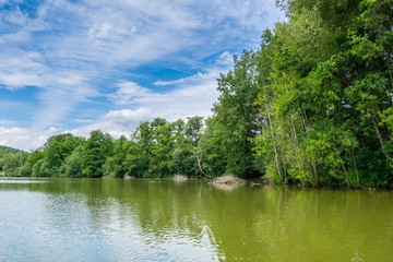 Green lake with trees in summer