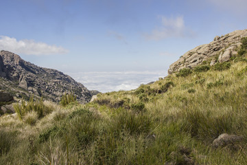 through the trails of Itatiaia
