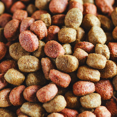 Dry dog food close-up. Food background