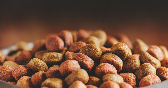 Dry dog food close-up. Food background