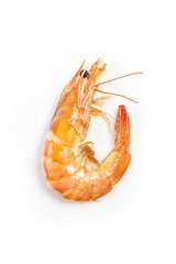 shrimps on a white background