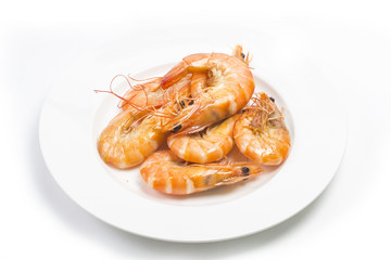shrimps on a white background