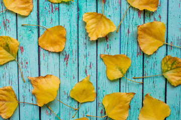 Fototapeta na wymiar Yellow leaves on blue wooden background. Autumn time. Beautiful autumn Wallpaper