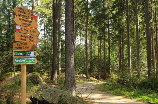Wegweiser, Bayerischer Wald, Wanderweg kleiner Arbersee Wegweiser 