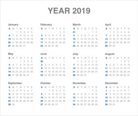 Year 2019 calendar vector design template