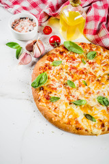 Homemade cheesy pizza
