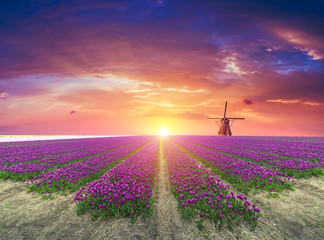 The road leading to the Dutch windmills from the canal in Rotterdam. Holland. Netherlands. - obrazy, fototapety, plakaty